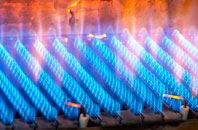 Gothelney Green gas fired boilers